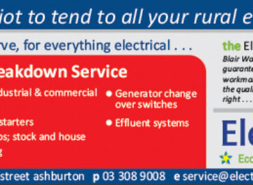 ElectraServe
